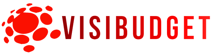 VisiBudget